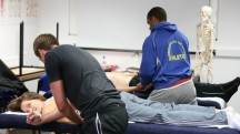 Sports Massage course