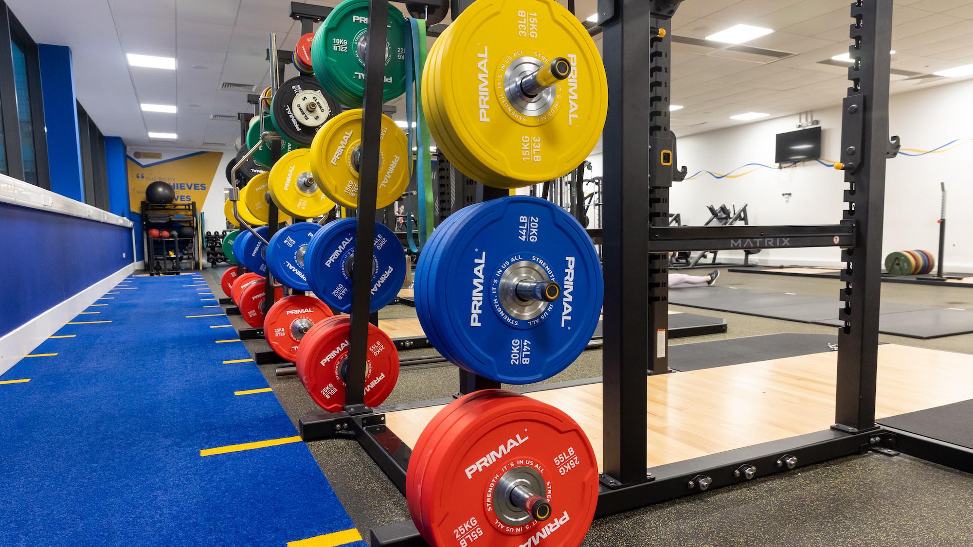A picture of Gym 1 at the Team Bath Gym, on the University of Bath campus, which underwent an extensive £450,000 refurbishment during the summer of 2024.